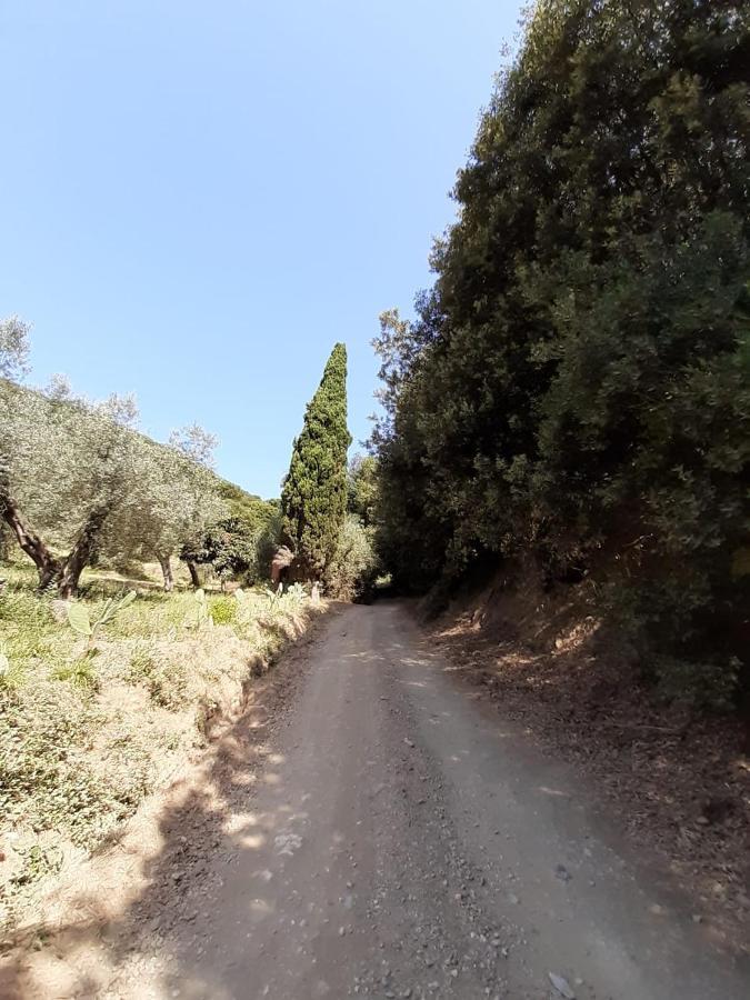 Appartamento Podere Barlo Campiglia Marittima Esterno foto