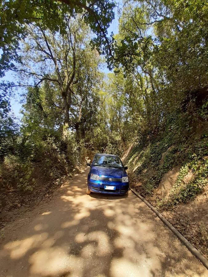 Appartamento Podere Barlo Campiglia Marittima Esterno foto