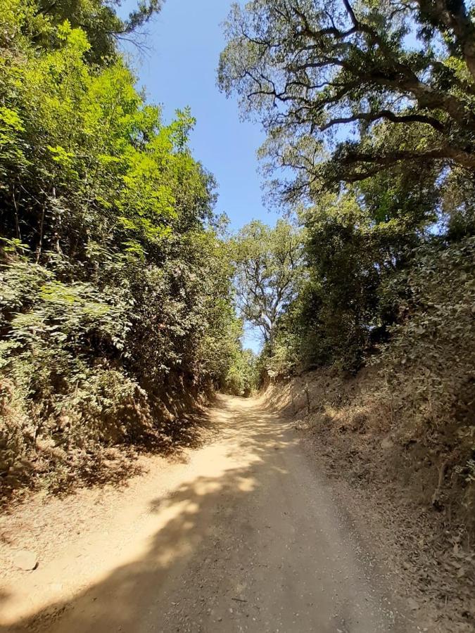 Appartamento Podere Barlo Campiglia Marittima Esterno foto