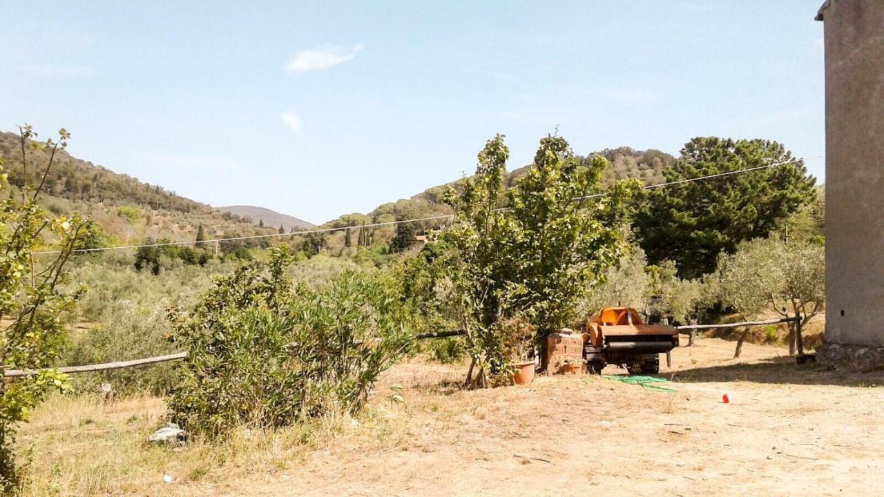 Appartamento Podere Barlo Campiglia Marittima Esterno foto