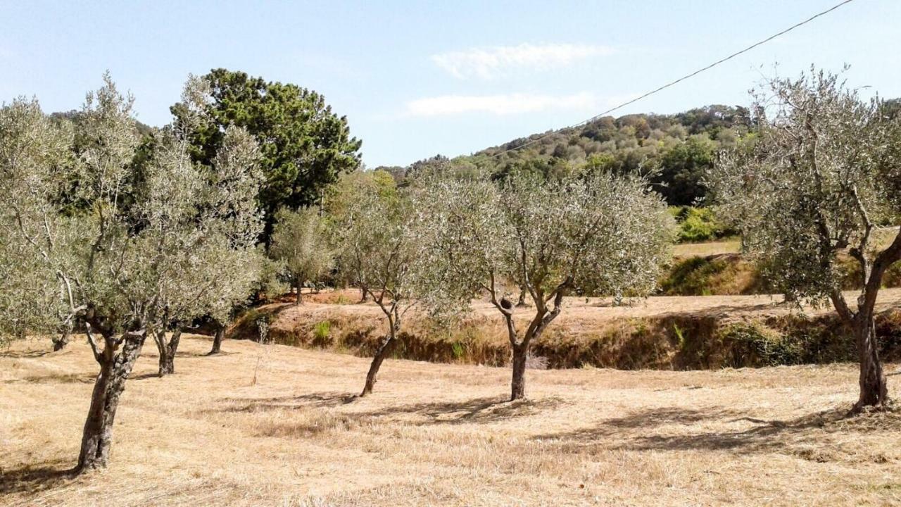 Appartamento Podere Barlo Campiglia Marittima Esterno foto