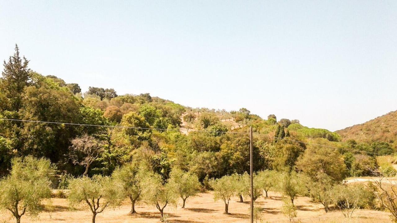 Appartamento Podere Barlo Campiglia Marittima Esterno foto