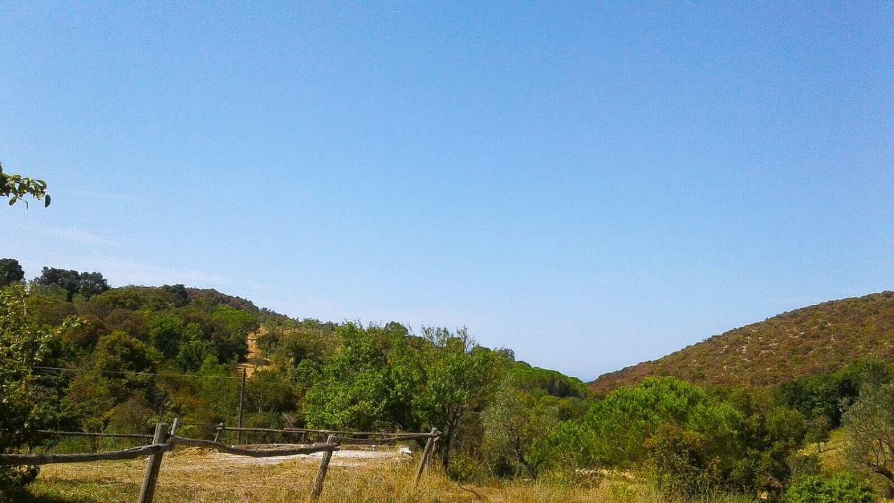 Appartamento Podere Barlo Campiglia Marittima Esterno foto