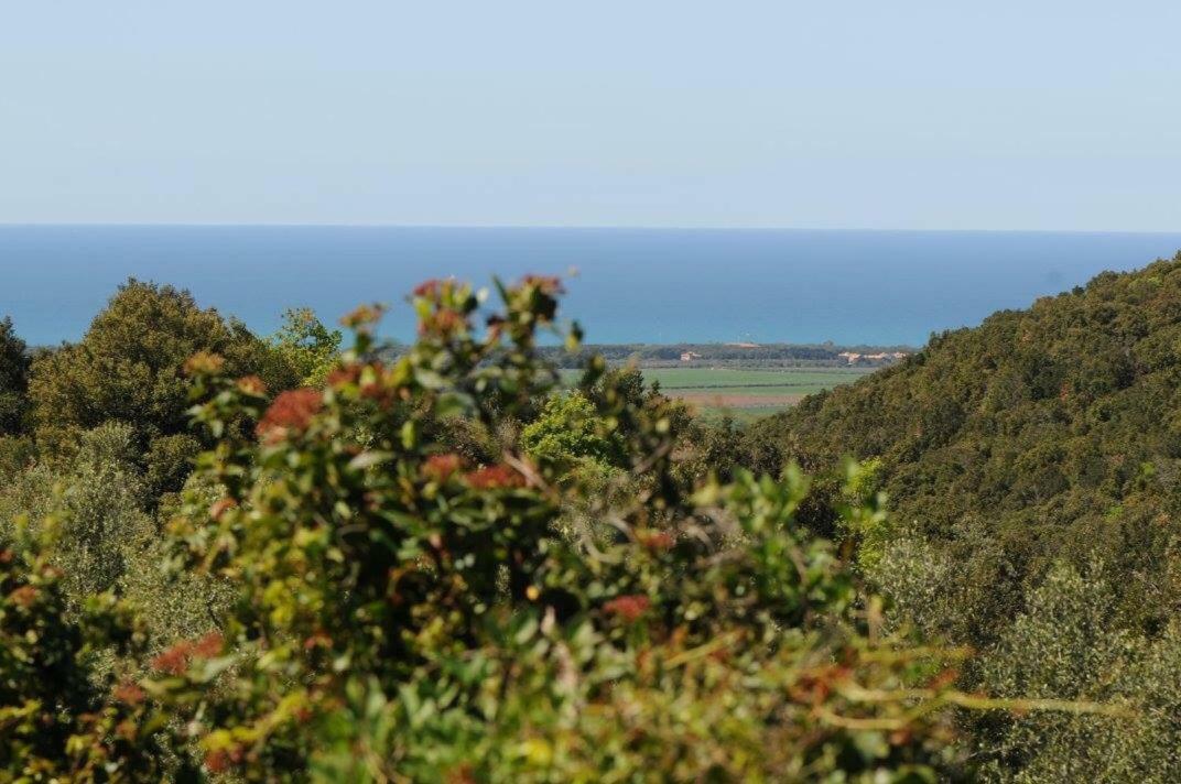 Appartamento Podere Barlo Campiglia Marittima Esterno foto