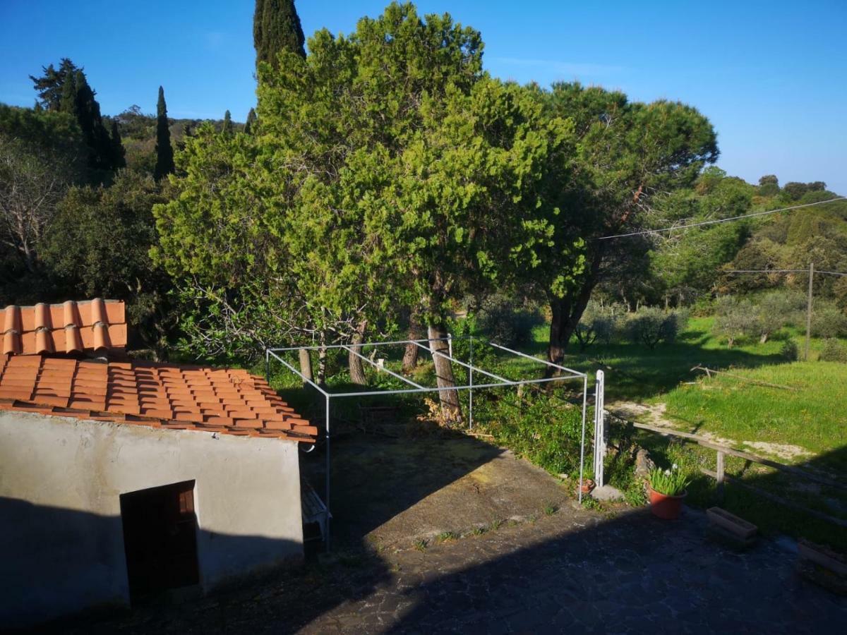 Appartamento Podere Barlo Campiglia Marittima Esterno foto